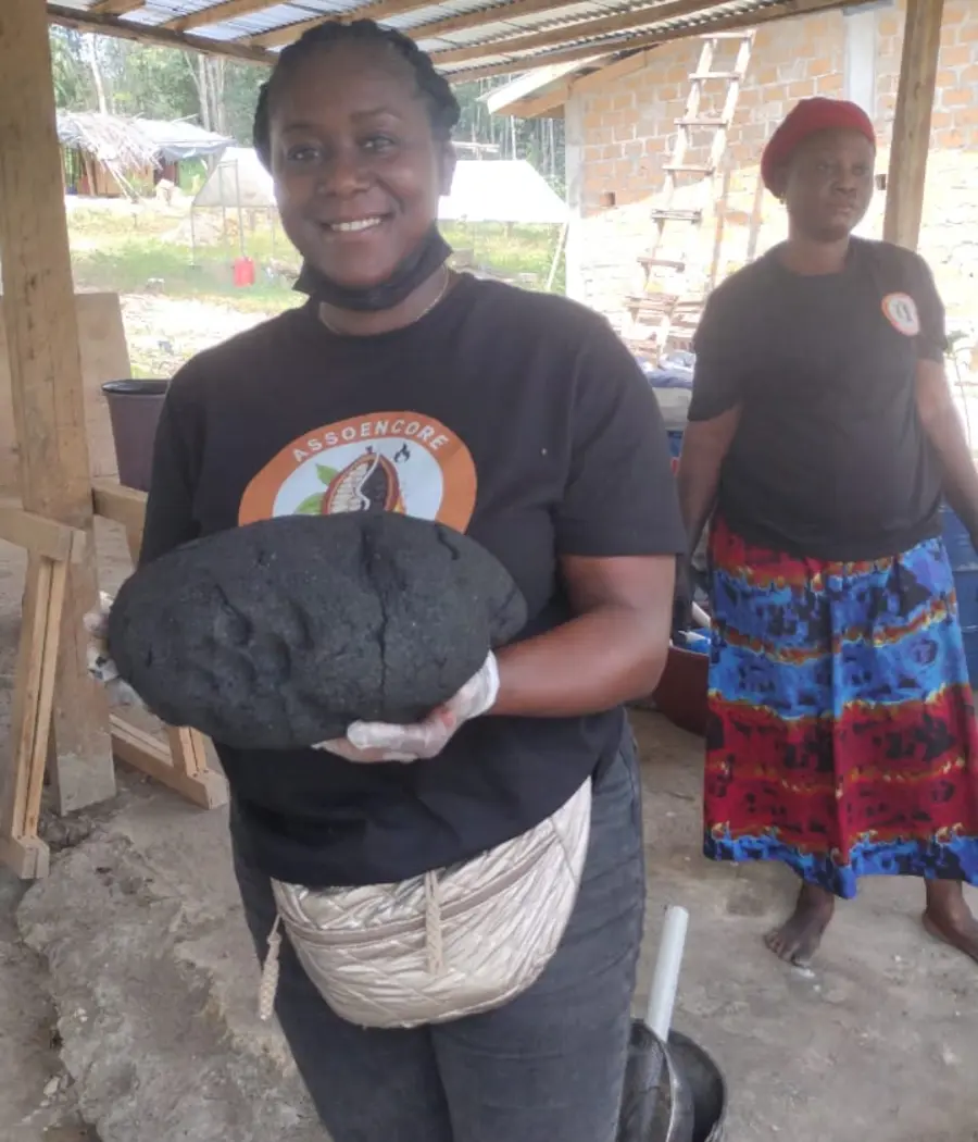 Matière de biochar tenue dans les mains