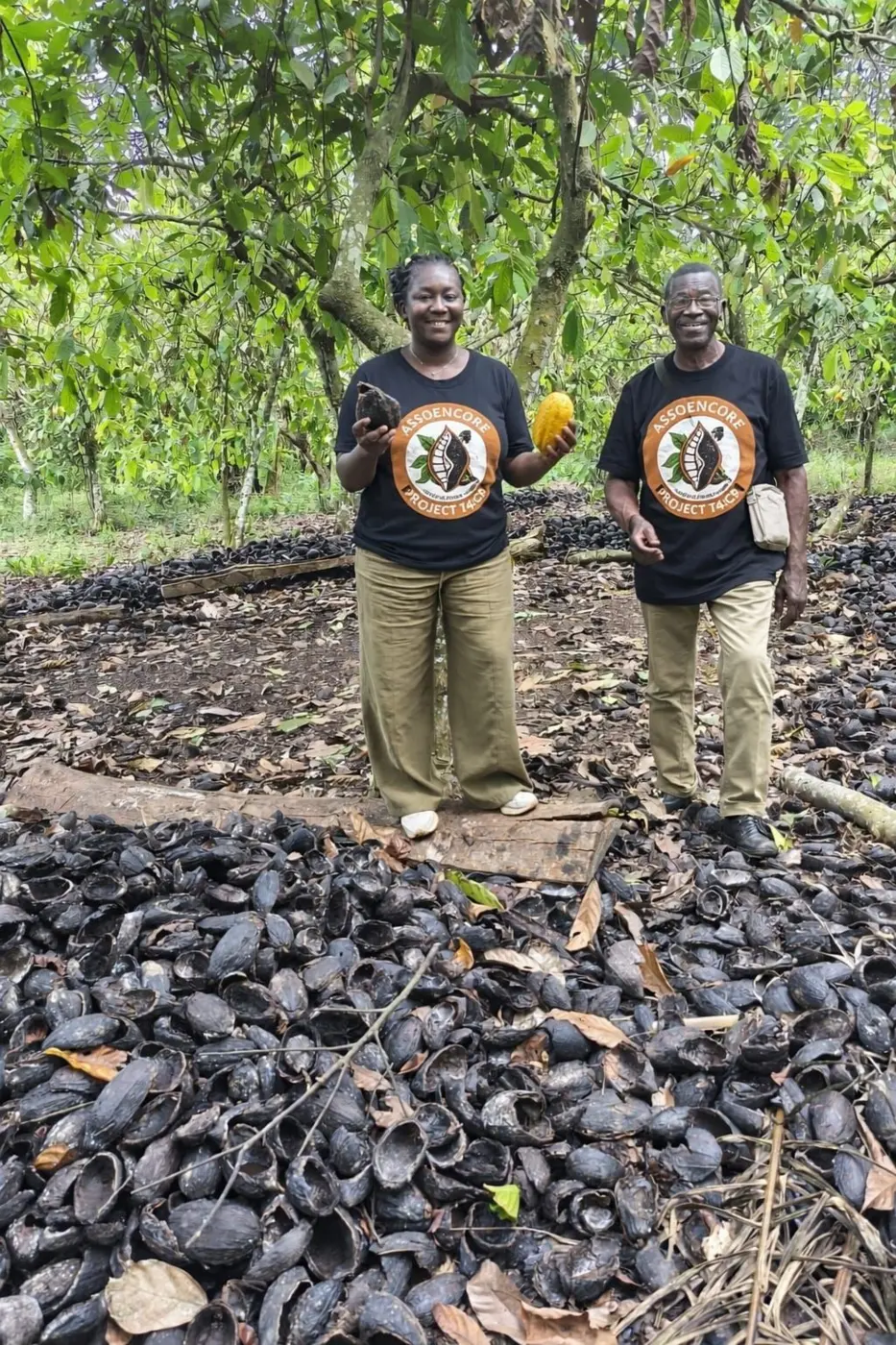 Membres du projet T4CB dans une plantation de cacao